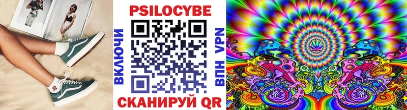 где купить наркоту Томилино Псилоцибиновые грибы Magic Shrooms